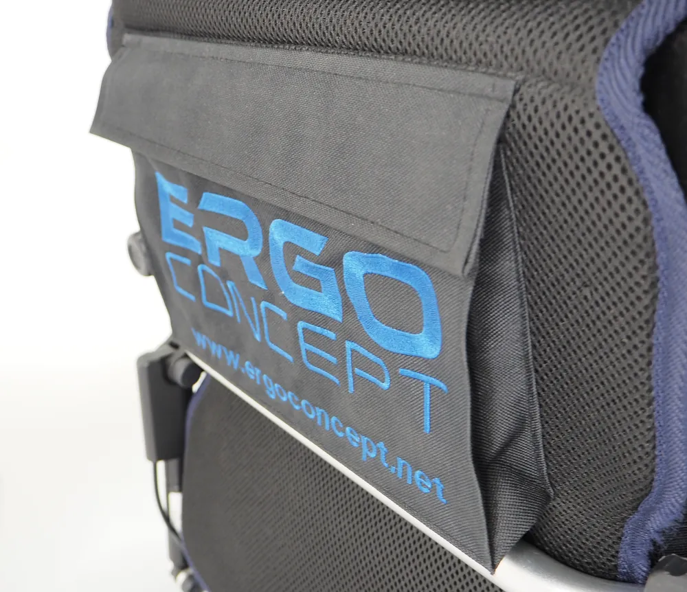 rangement arrière sac a dos voiturette